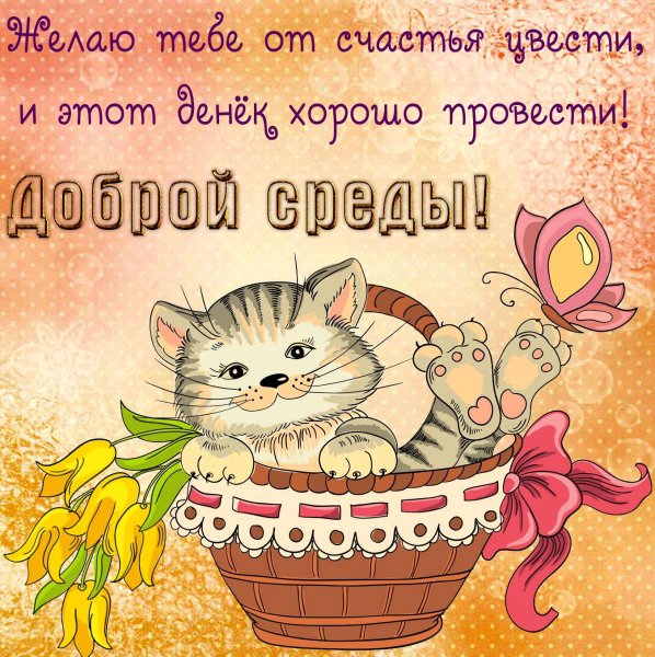 Поздравление со средой