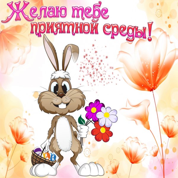 Открытки с добрым утром среды