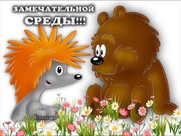 Пожелания хорошей среды