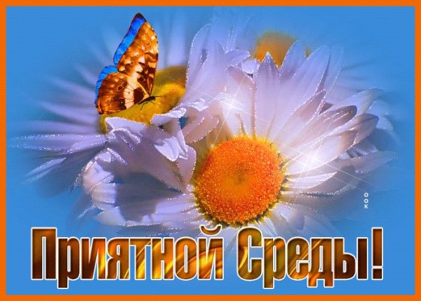 Доброе утро среда