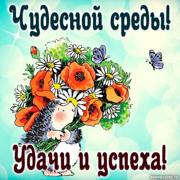 Поздравление со средой