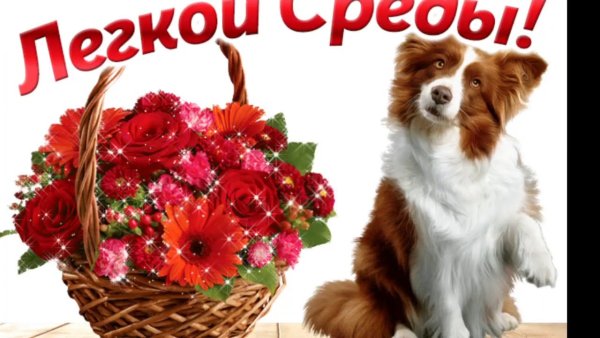 Доброе утро среда