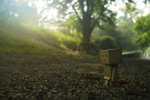 Картонный человечек Danbo