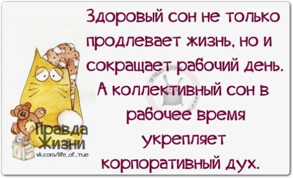 Смешные афоризмы для поднятия настроения