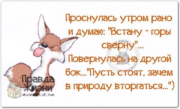 Анекдоты с добрым утром