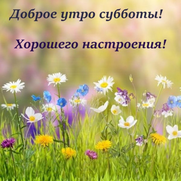 Доброго субботнего дня