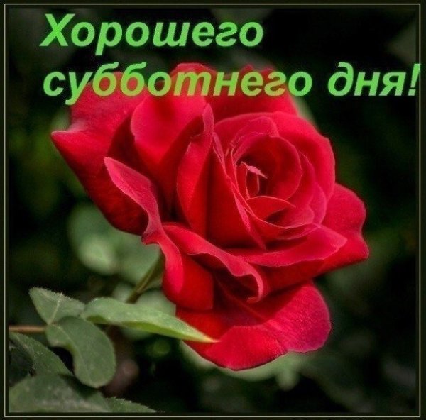 Открытки с добрым субботним утром