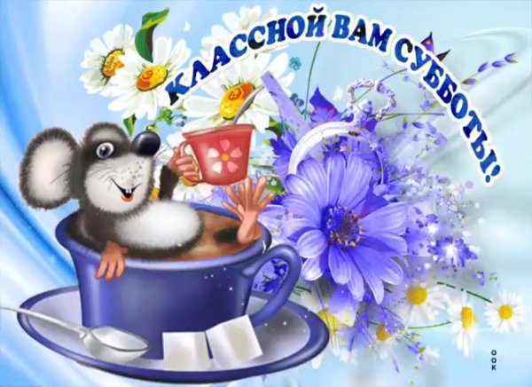 Хорошей субботы и отличного настроения
