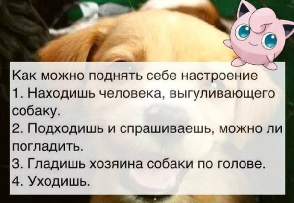 Смешное для поднятия настроения