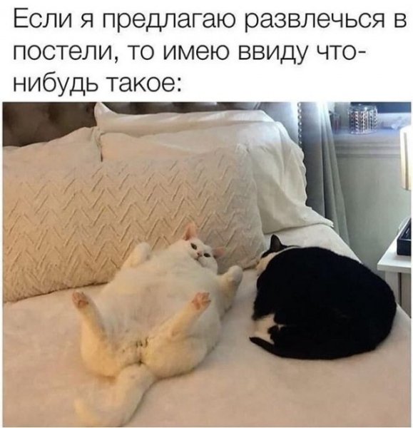 Прикольные картинки для поднятия настроения