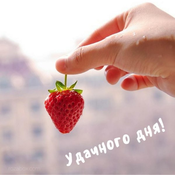 С добрым утром клубника