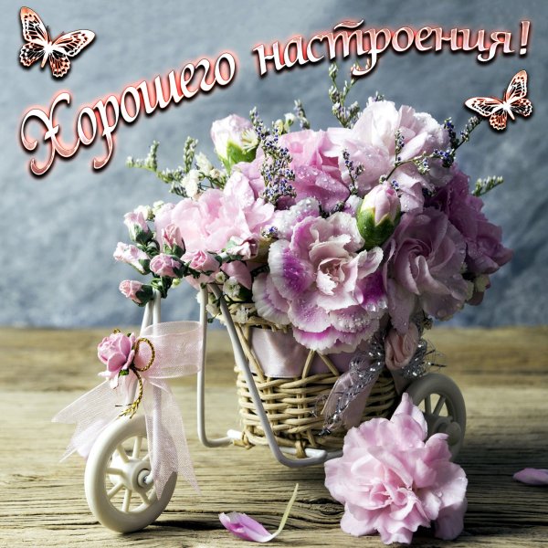 Отличного настроения