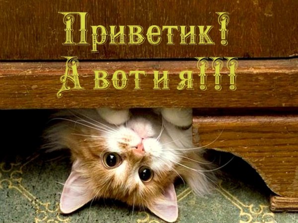 Красивые позитивные картинки