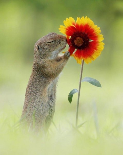 Кофе улыбается