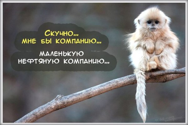 Смешные открытки для поднятия настроения