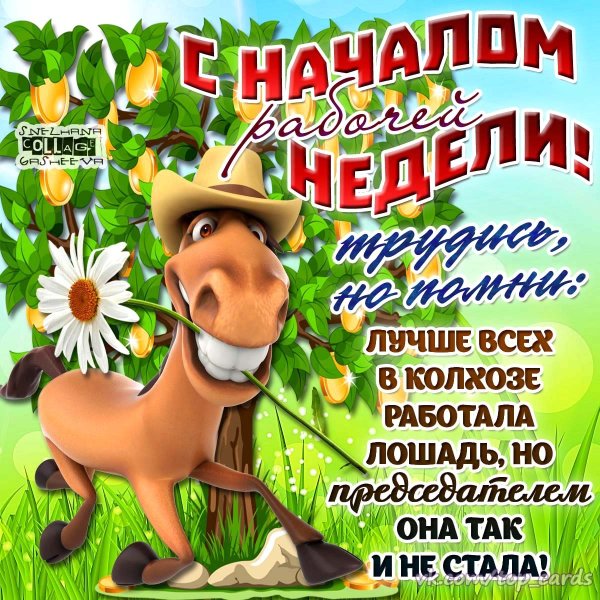 Открытки с новой рабочей неделей