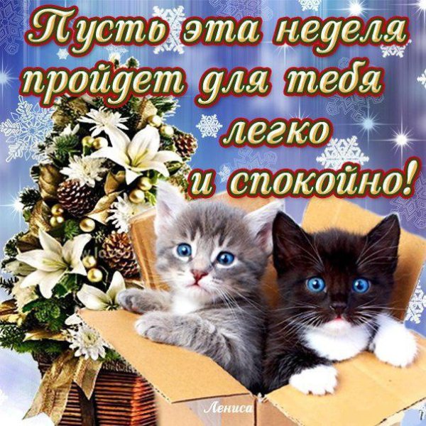 Поздравление с понедельником