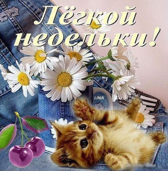 Пожелания на день