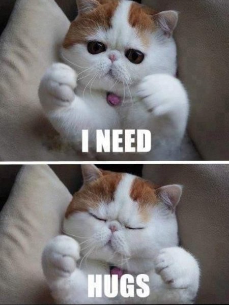 Мне нужны обнимашки