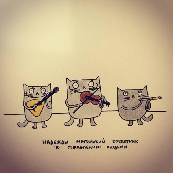 Смешные открытки для поднятия настроения