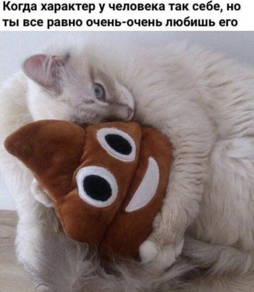 Позитивные приколы для поднятия настроения