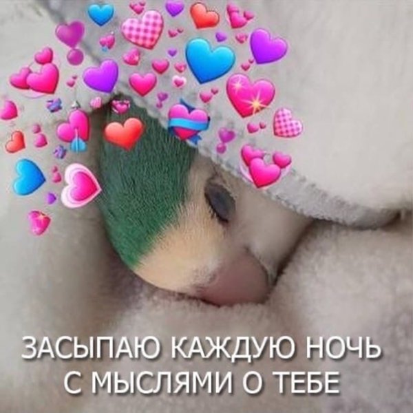 Милые картиночки для девушки с надписями