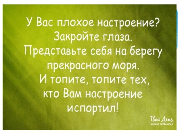 Смешные цитаты про жизнь