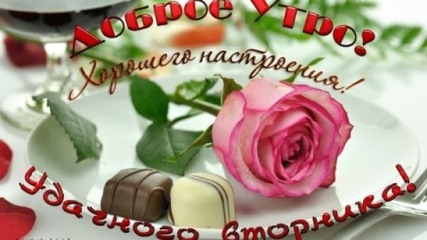 Пожелания приятного вторника и отличного настроения