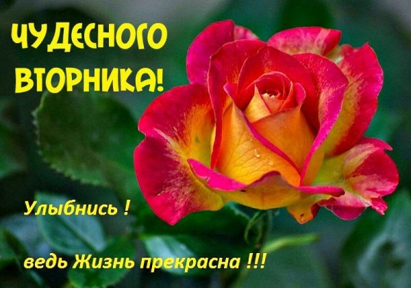 Хорошего вторника