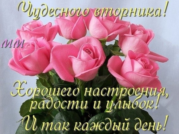 С добрым утром вторника