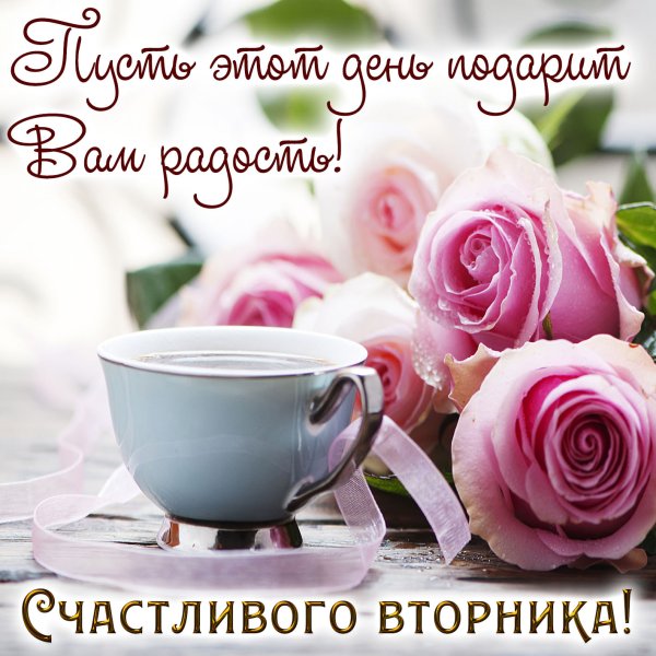 Открытки с добрым утром вторника