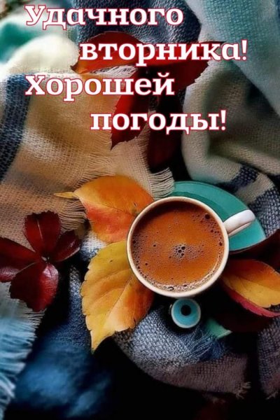 Поздравления с добрым утром вторника