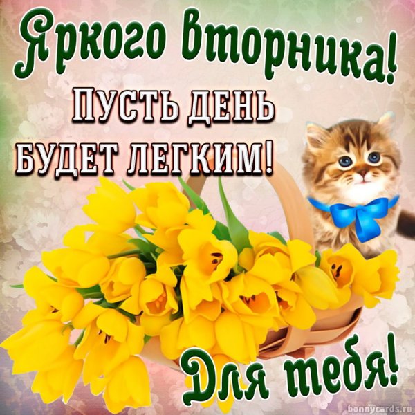 Доброе утро вторника