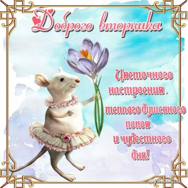 Открытки чудесного вторника