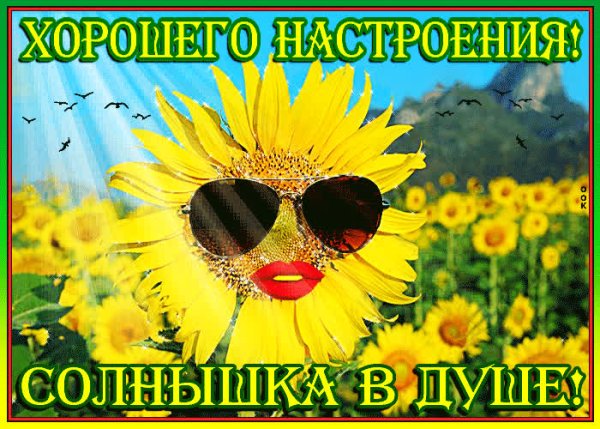 Хорошего настроения солнышка в душе