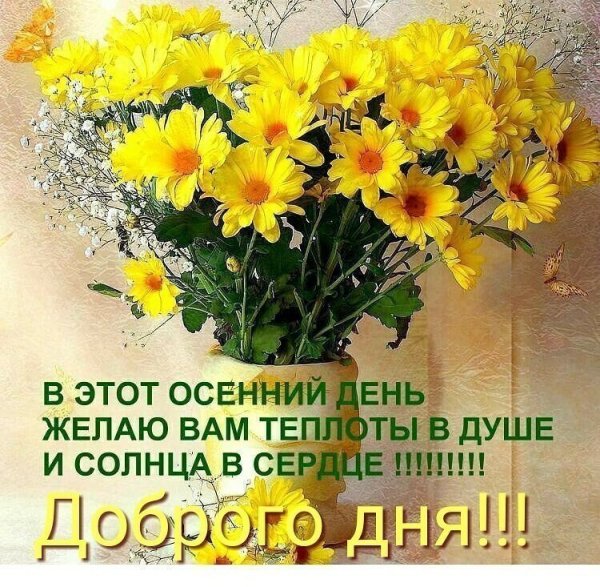 Душевного тепла и солнечного настроения