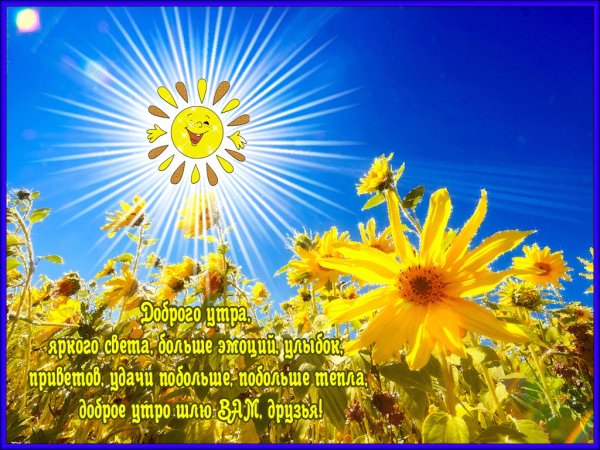 Доброе солнечное утро