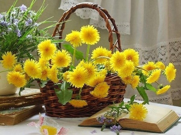 Солнечный букет одуванчиков