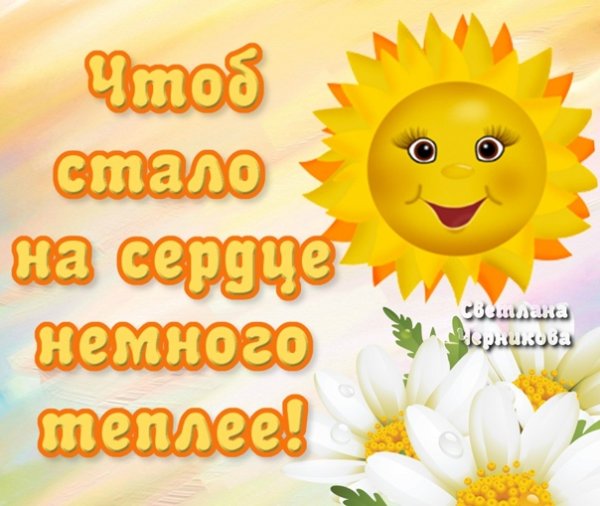 Удачного дня солнышко