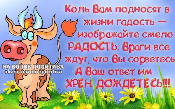 Добрые статусы в картинках