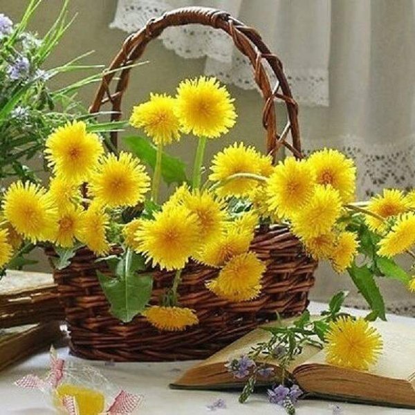 Одуванчики в корзинке