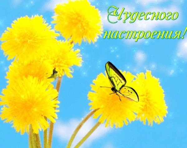 Солнечного настроения