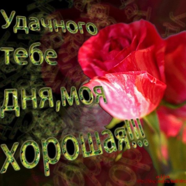 Добрый день любимая