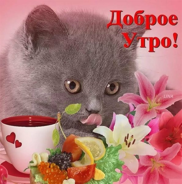 Пожелания с добрым утром девушке