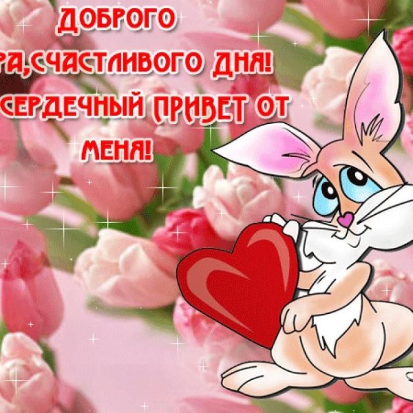 Добрые пожелания
