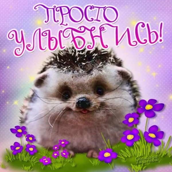 Открытка девушке для настроения