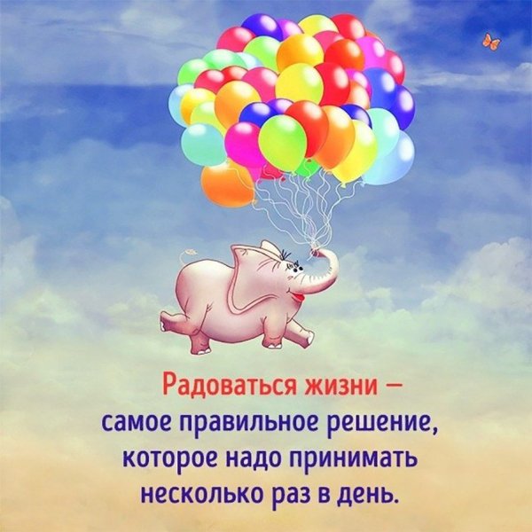 Кот и одуванчик
