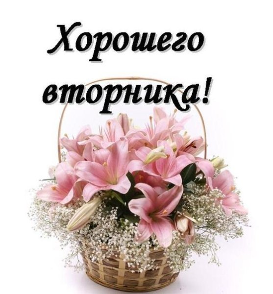 Хорошего вторника