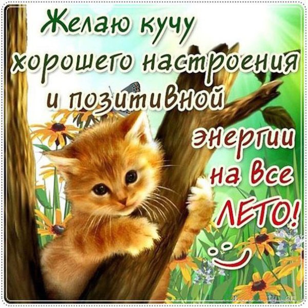 Позитивные пожелания