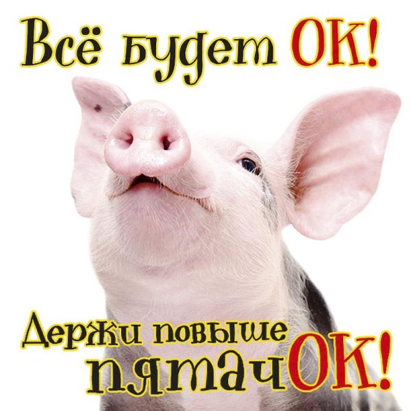 Открытка не вешай нос все будет хорошо